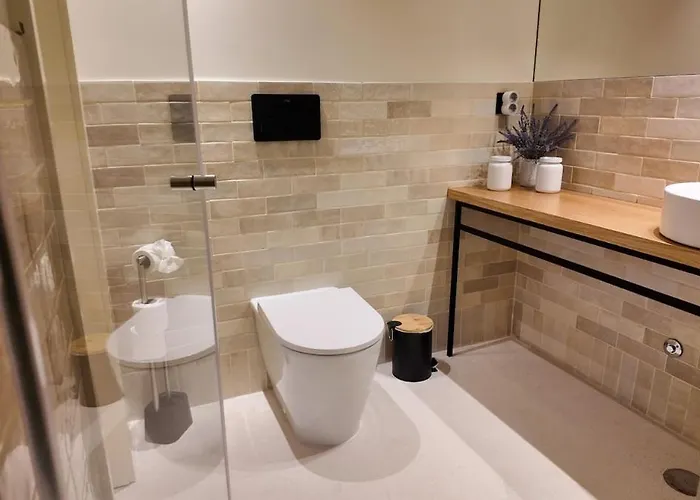 New Cozy Oasis In The Center Terrace And Garage Appartement