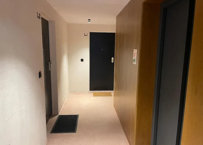 New Cozy Oasis In The Center Terrace And Garage 公寓 *